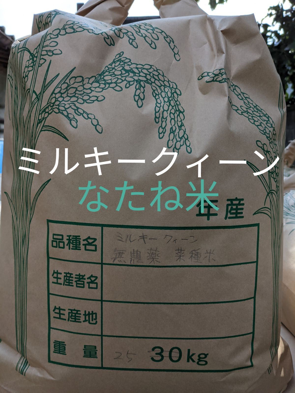 令和4年産 農薬不使用有機肥料使用ミルキークィーンなたね米 5キロ玄米