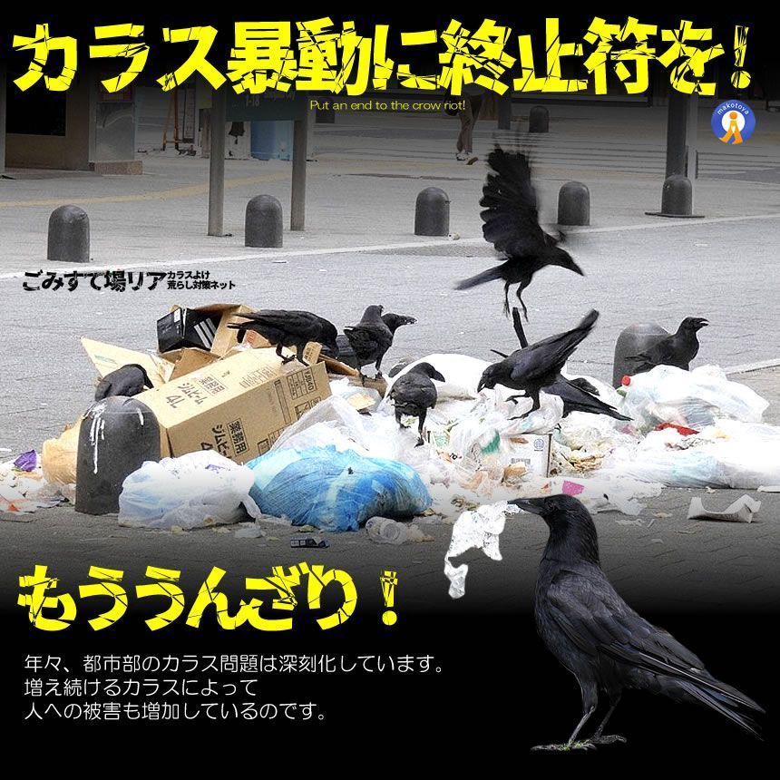 ☆5％オフクーポン配布中☆ 5個セット カラス除けネット 大判サイズ