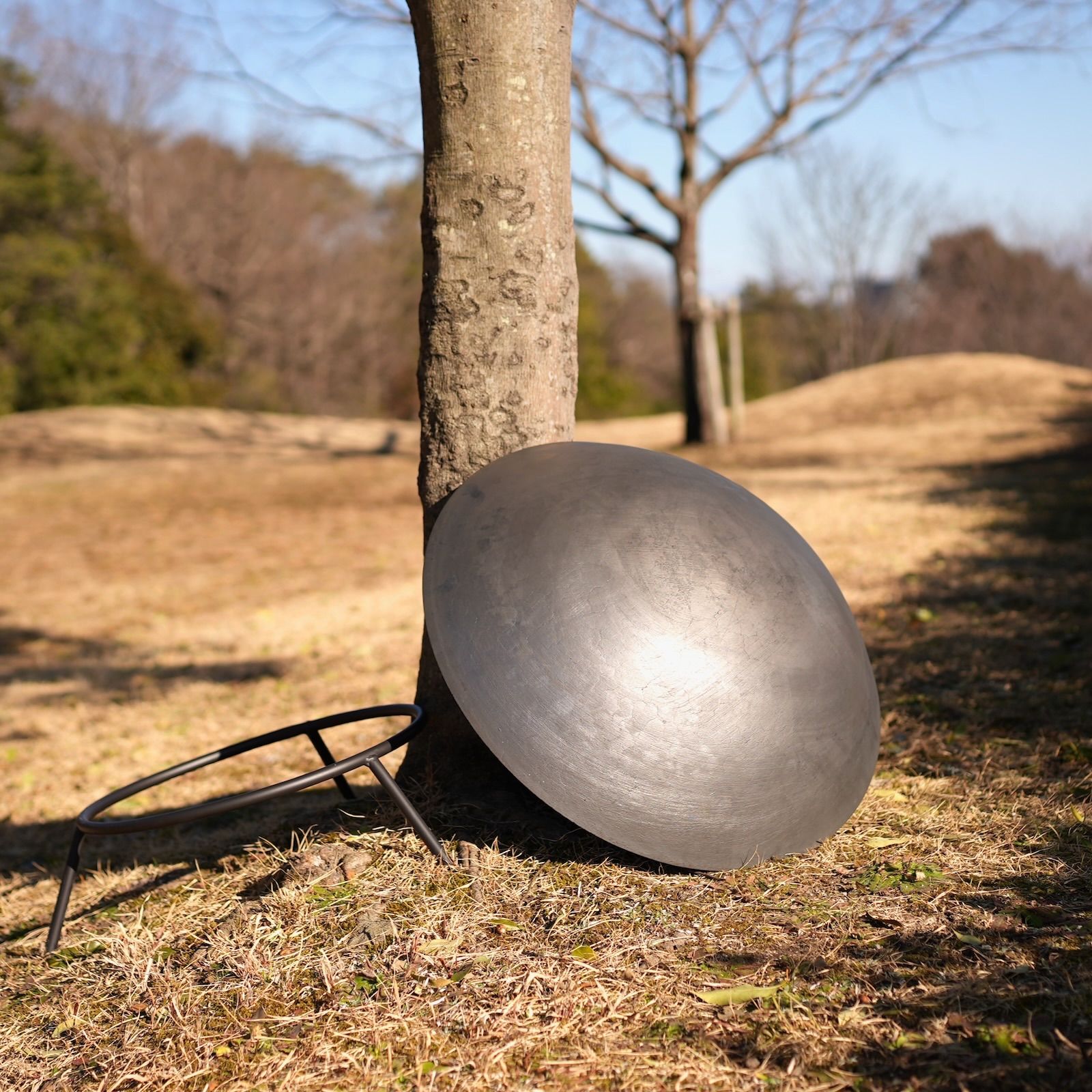 タキビト 66cm