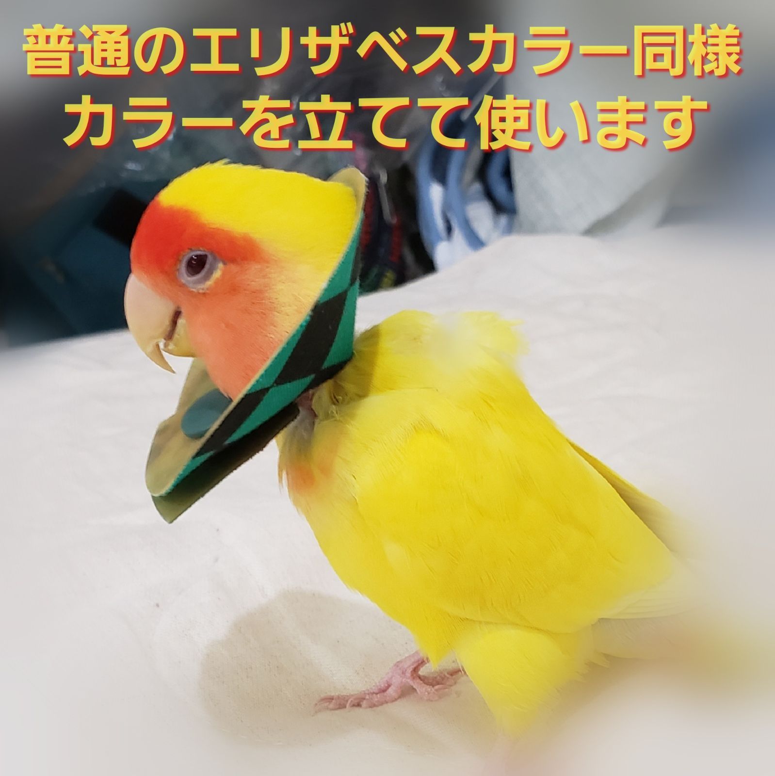 インコ エリザベスカラー(鱗・うろこ)1枚・3サイズ・4g - ペット用品