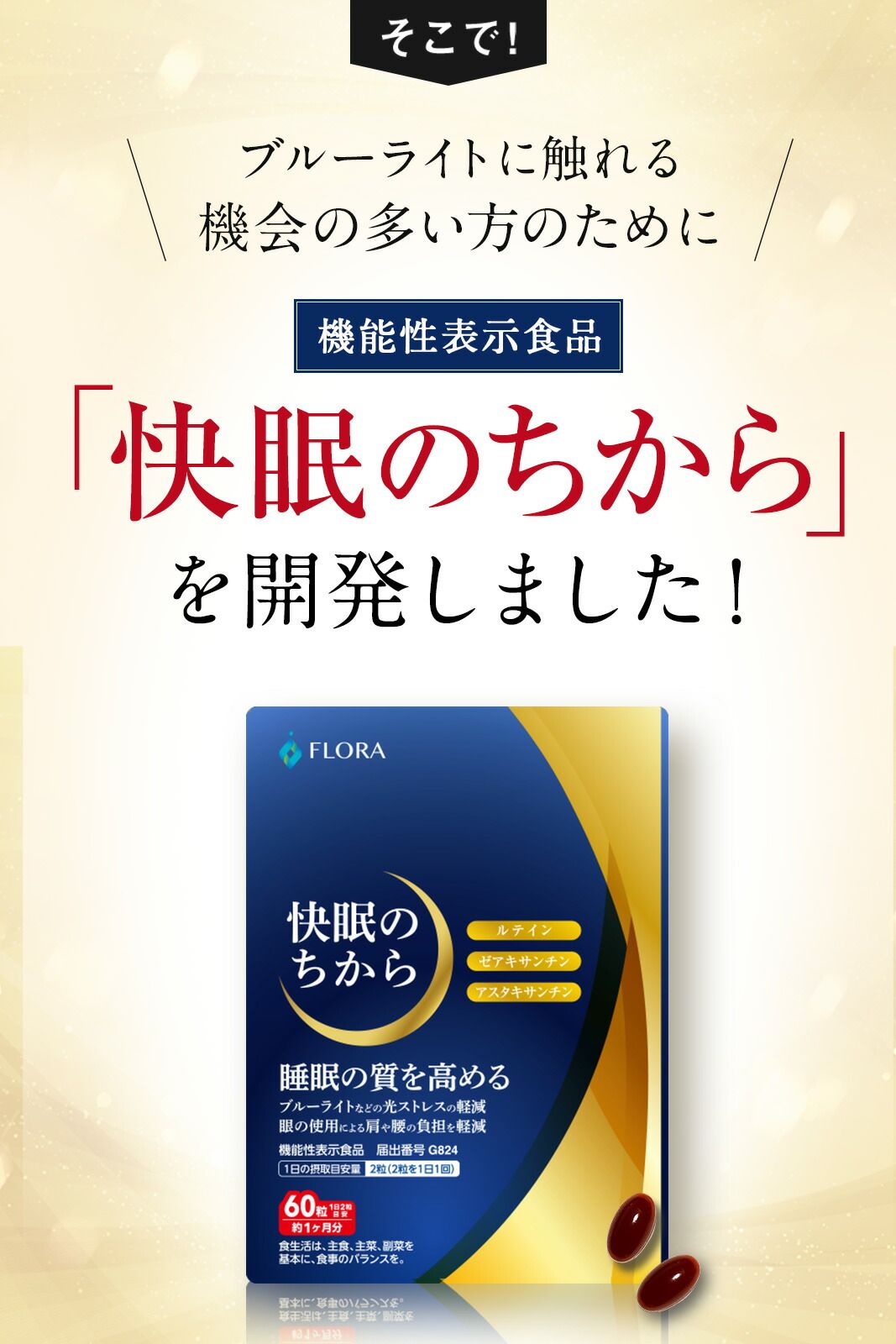 約3か月分
