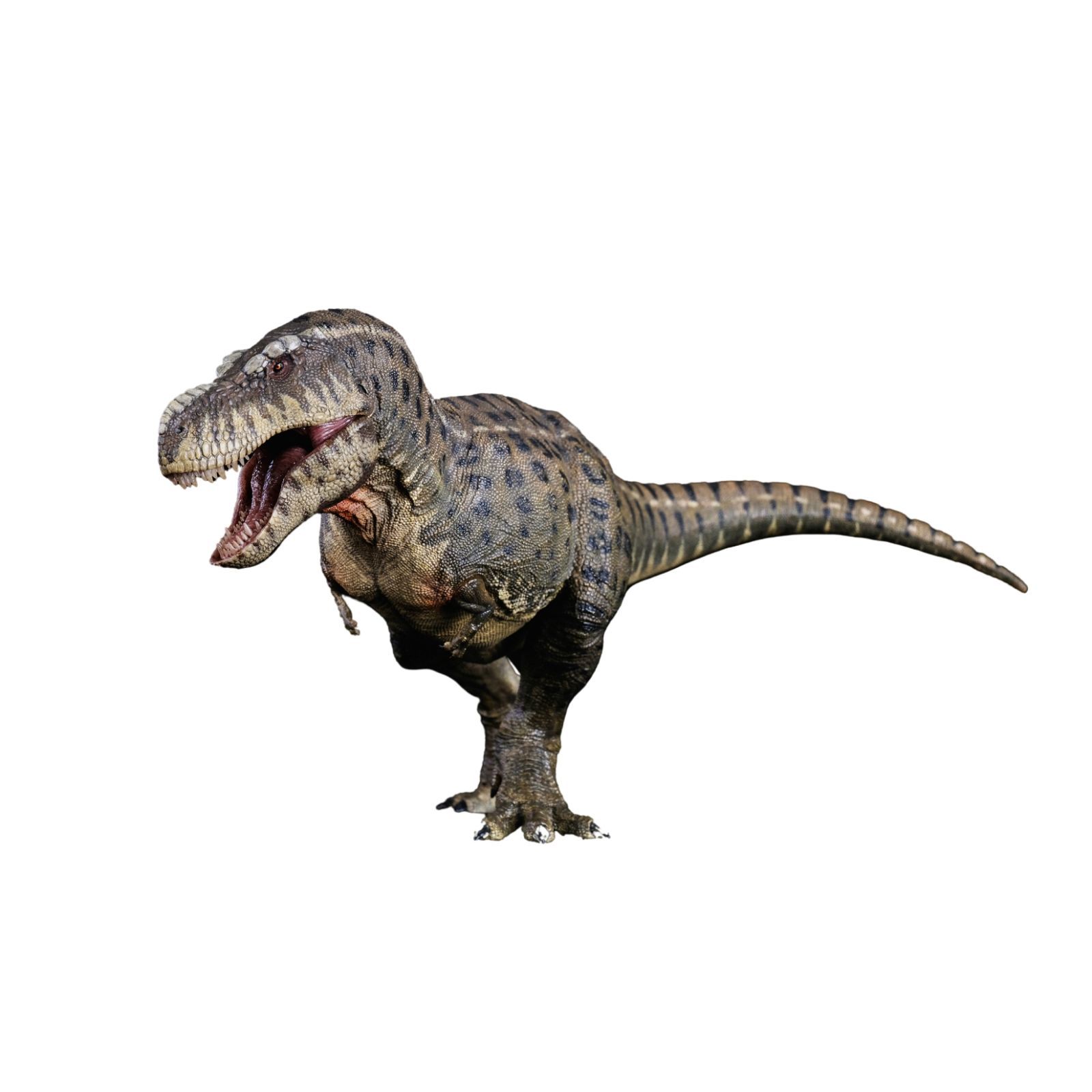 REBOR　1/35スケール　ユーティラヌス　Y-REX　フィギュア REBOR 1/35 サイズ ティラノサウルス フィギュア KISS Tレックス 恐竜