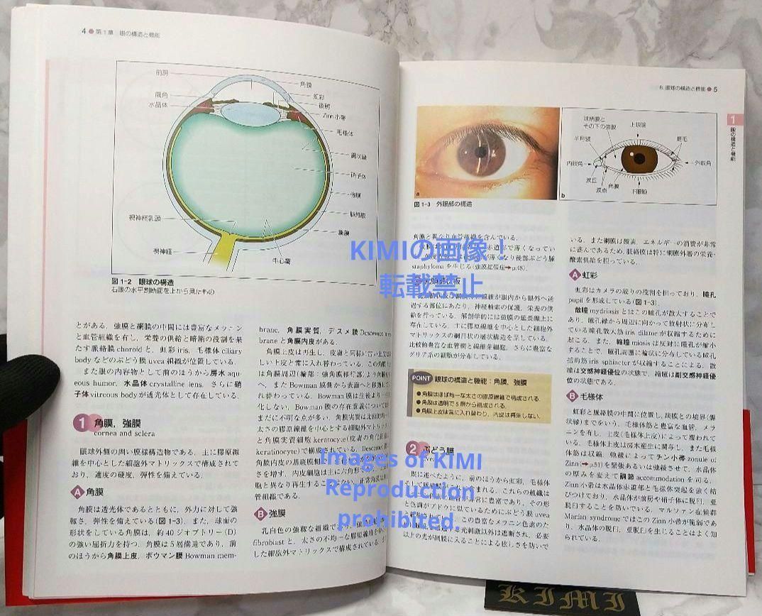 標準眼科学 第12版 単行本 2015 木下 茂 医学書院 木下 茂 ひょうじゅ 角膜疾患−外来でこう診てこう治せ | 木下 茂 |本 | 通販 | Amazon