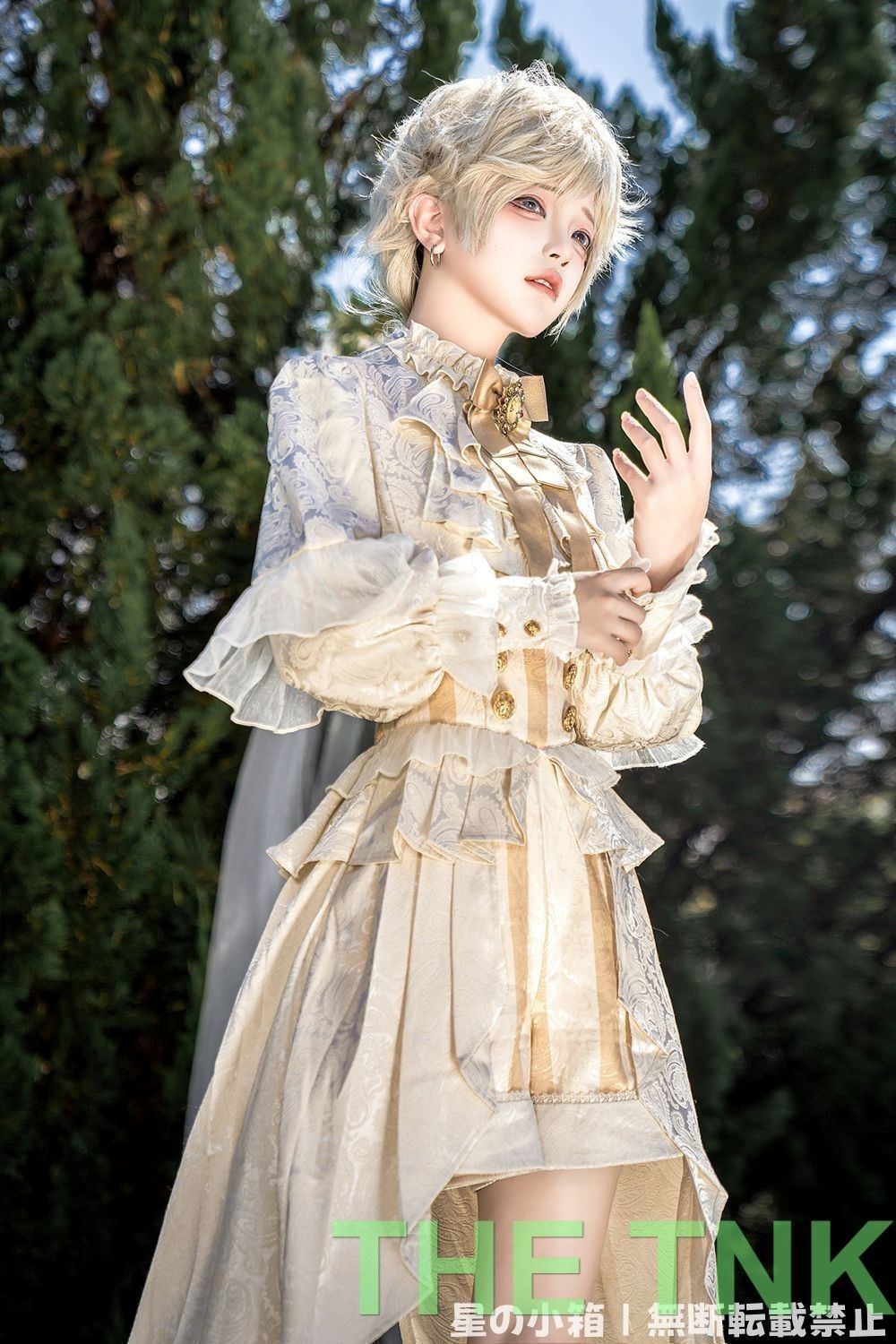 新品未使用 ロリータゴシック風 王子様コスチューム 高級感あふれる