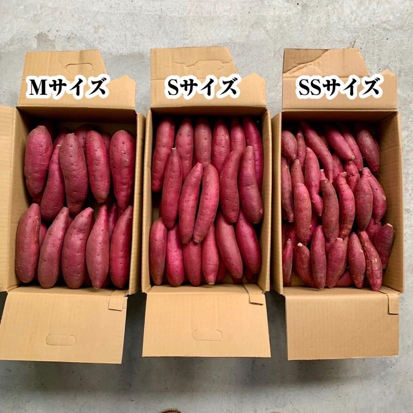 千葉県かとり産　シルクスイート M 箱込5kgX4 20kg 焼き芋屋さんにも♪ 千葉県かとり産 シルクスイート M 箱込5kgX4 20kg 焼き芋屋さんに