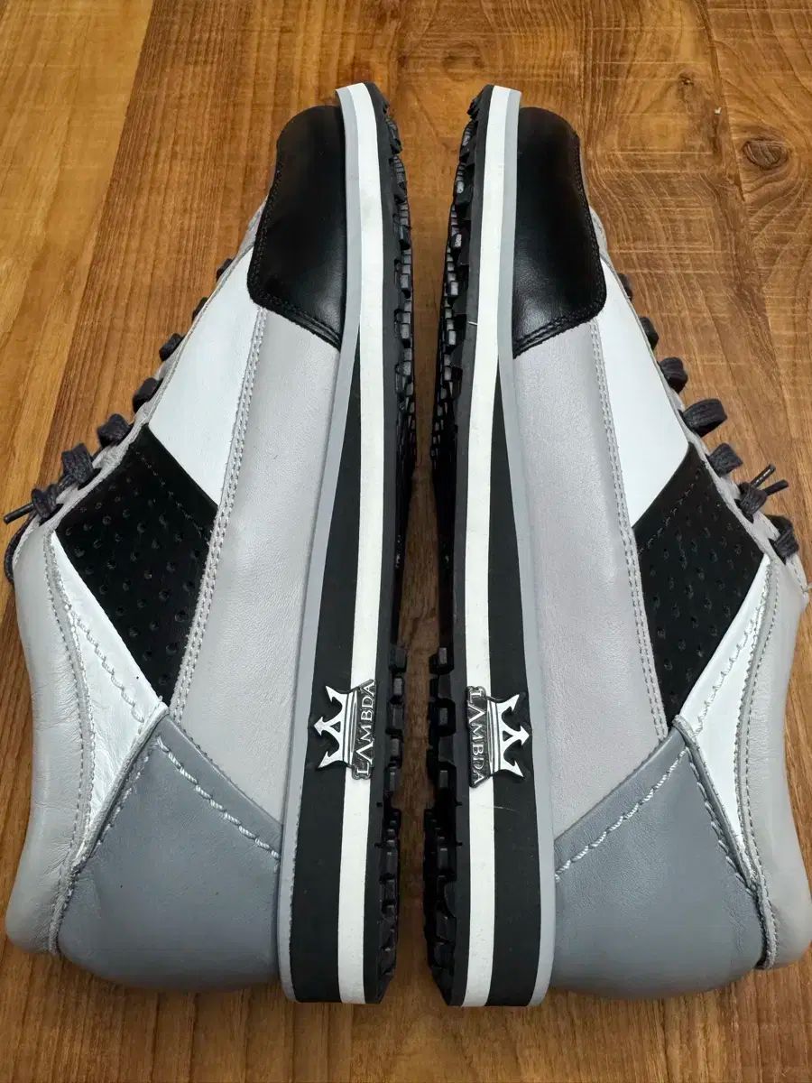 ラムダ 姫宮 桃李 メンズゴルフシューズ 42