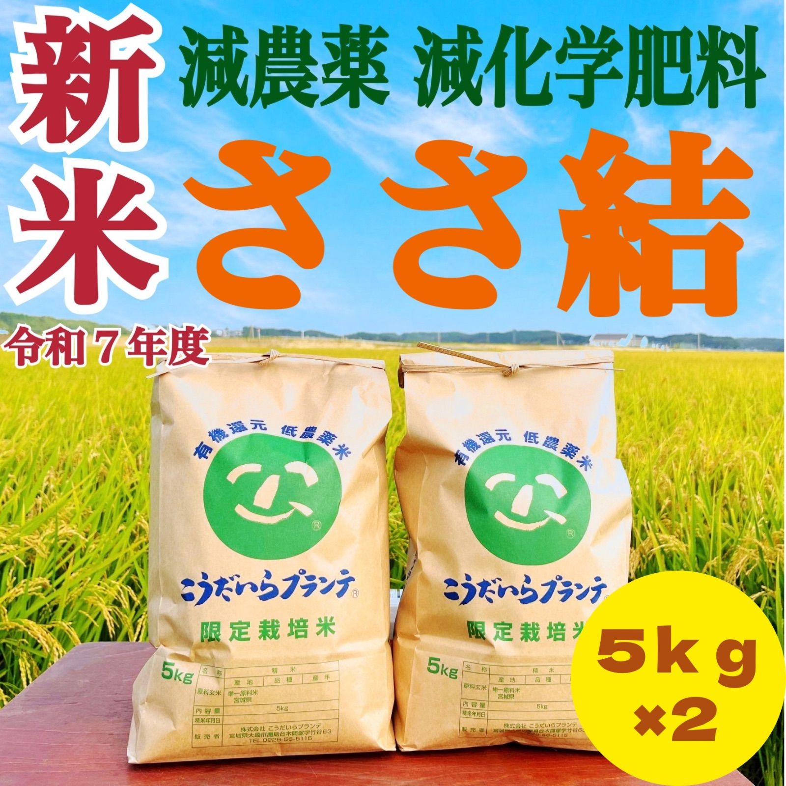 新米 農家直送 令和７年度 減農薬 ささ結 ささむすび 10キロ