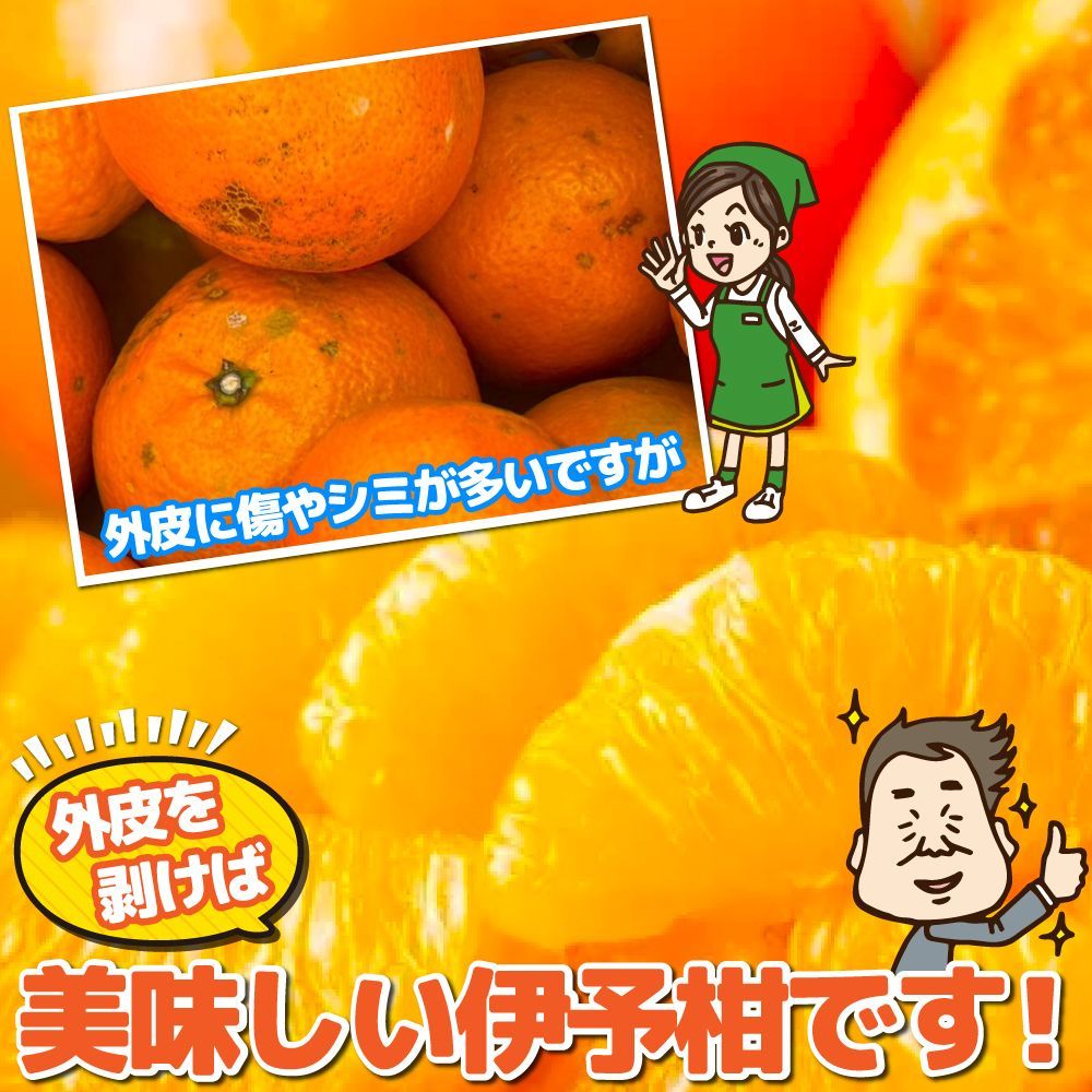 のサムネイル