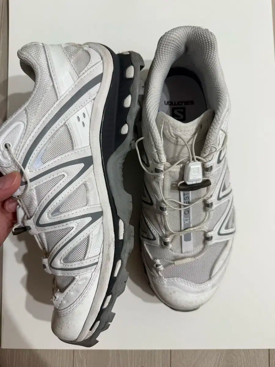 SALOMON