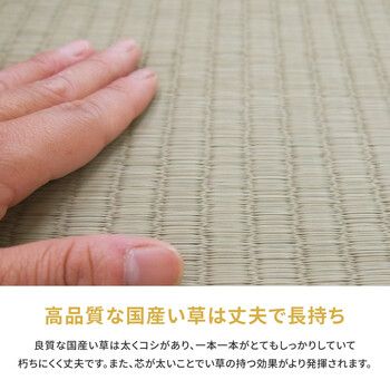 引目織 琥珀
