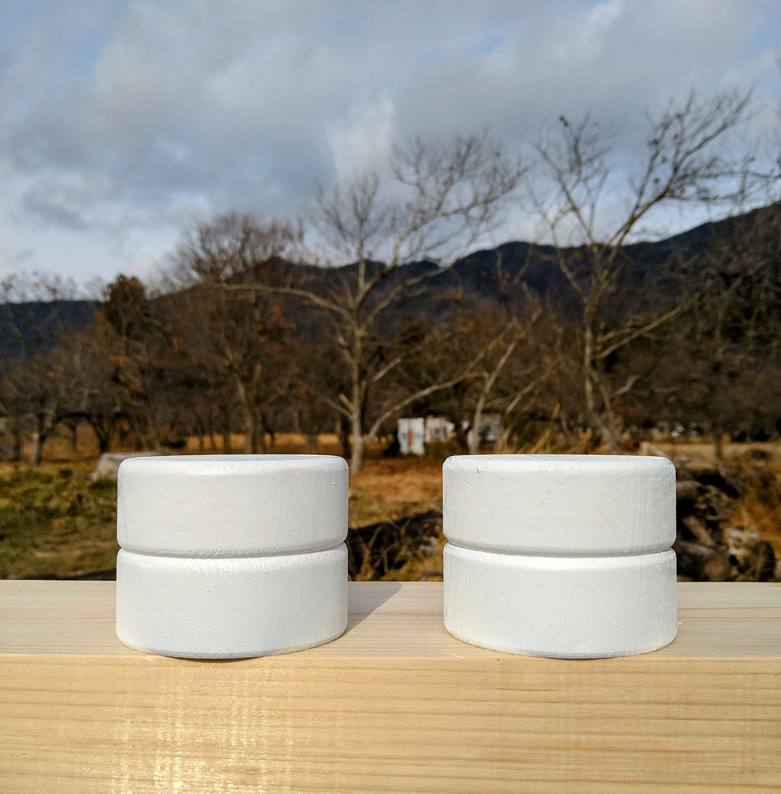 浄土 真宗 鏡餅