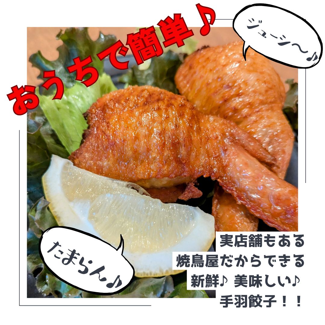 手羽餃子　30本入　冷凍手羽餃子　冷凍餃子　お取り寄せ　BBQ　パーティー 手羽餃子 30本入 冷凍手羽餃子 冷凍餃子 お取り寄せ BBQ ホーム