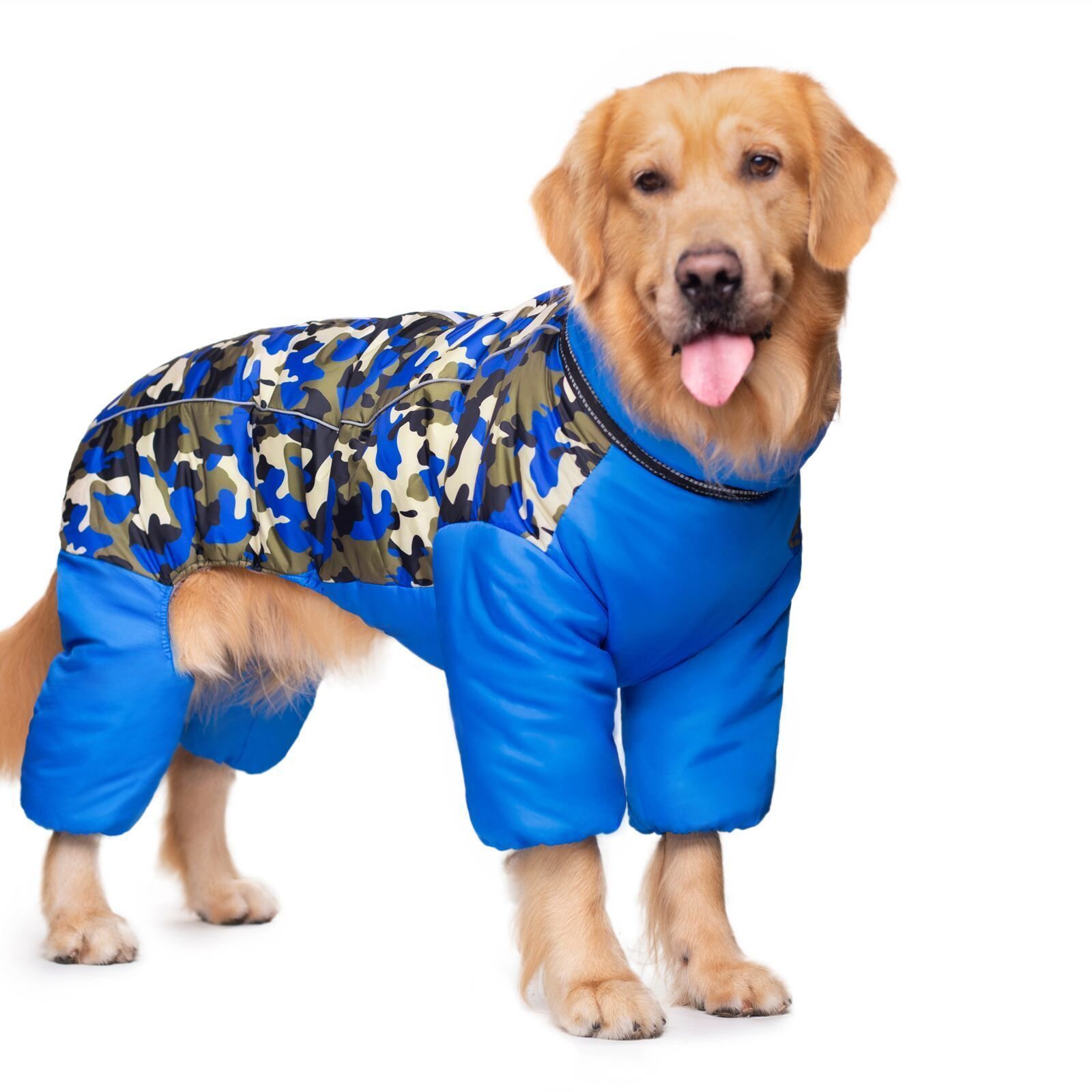 ダウンジャケット 犬