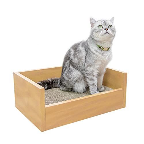 レア 新潟県 燕市 玉川堂 鎚起銅器 額皿 金色の翁の面 桐箱 、しおり 付き