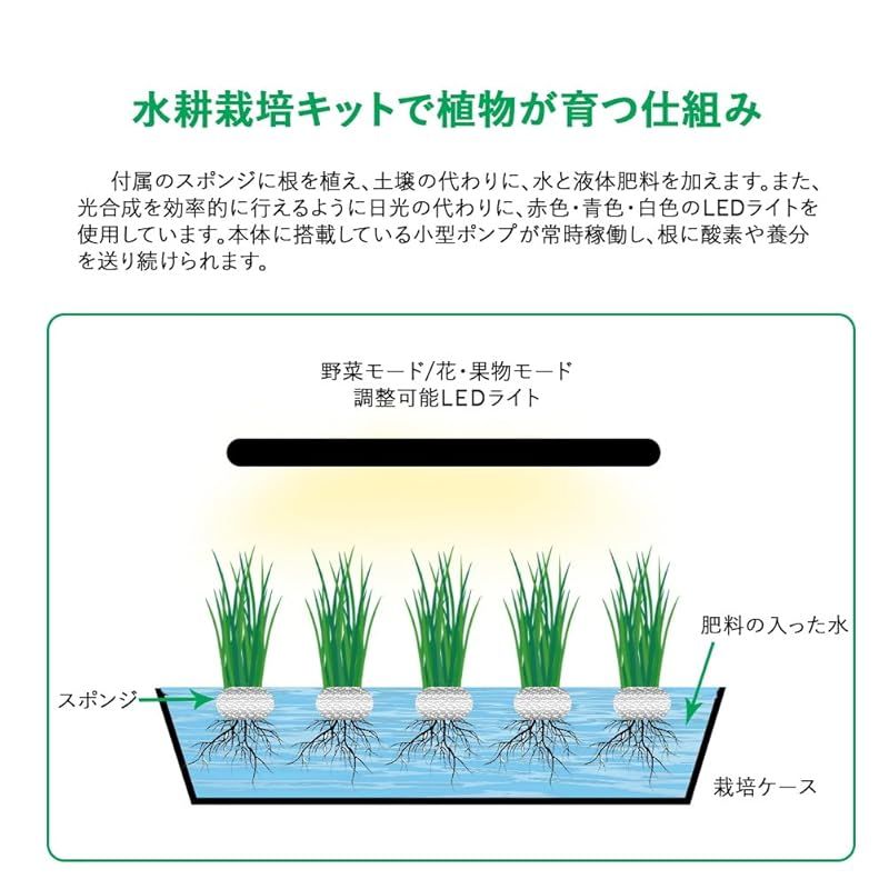 JustSmart 水耕栽培キット