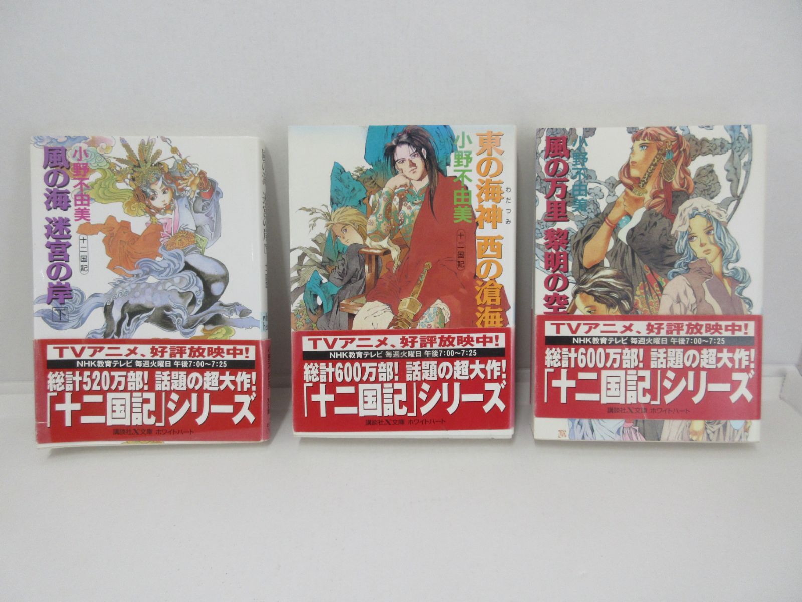195-g 十二国記シリーズ 全11冊セット 小野 不由美 (著) - メルカリ