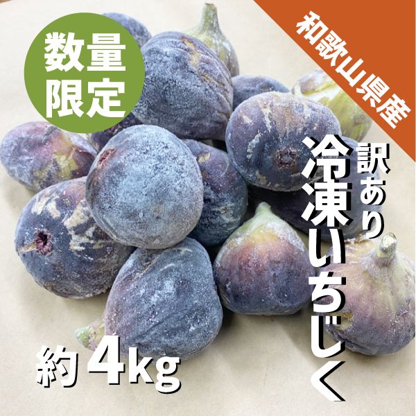 和歌山県産 冷凍いちじく 約４kg 2025年産 ジャム コンポート いちじく 加工