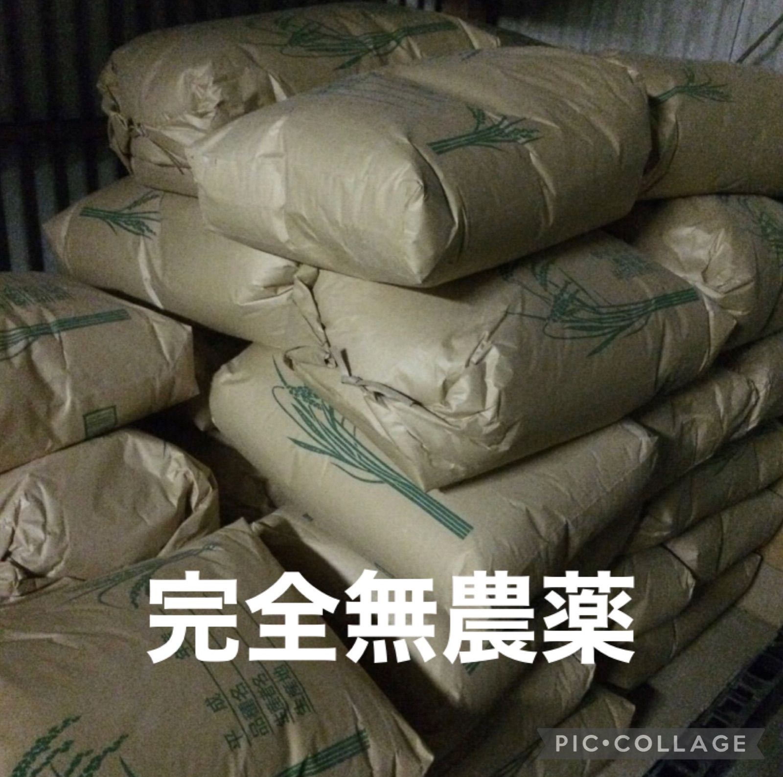 コシヒカリ 10kg×2 農薬不使用玄米 国消国産 農家直送 美容健康 即日配送-0