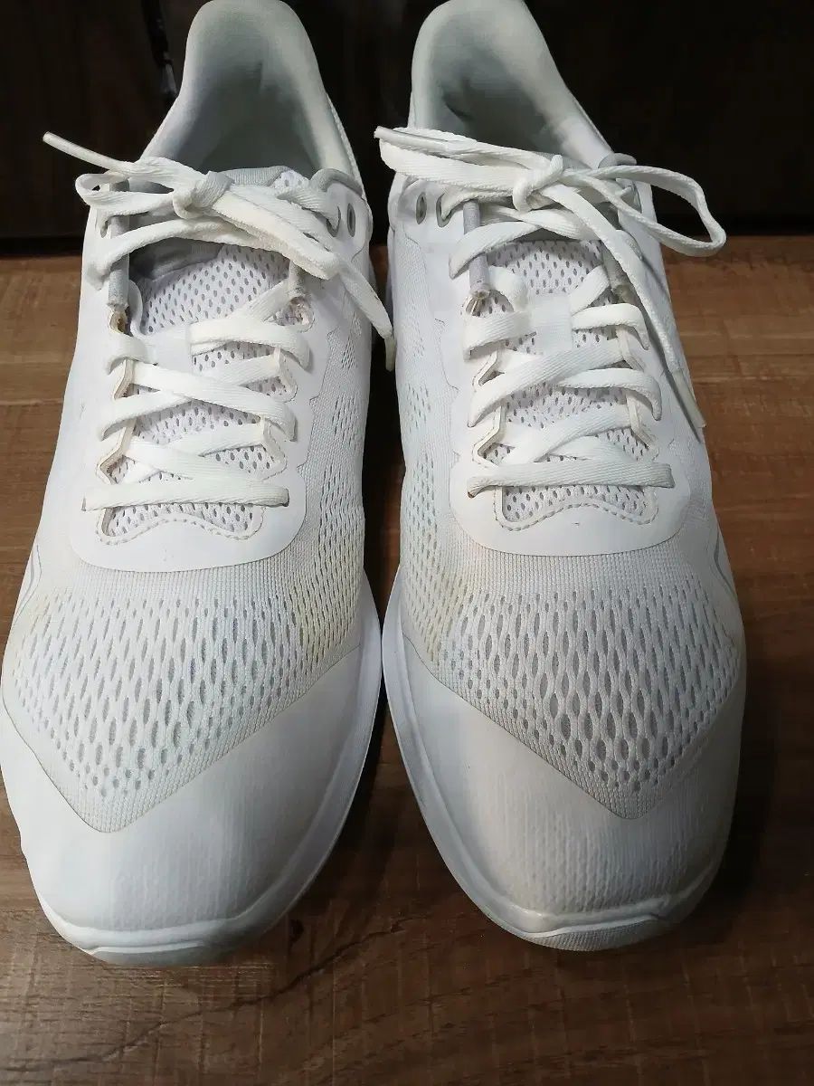 FootJoy フットジョイ ゴルフシューズ 285 mmm