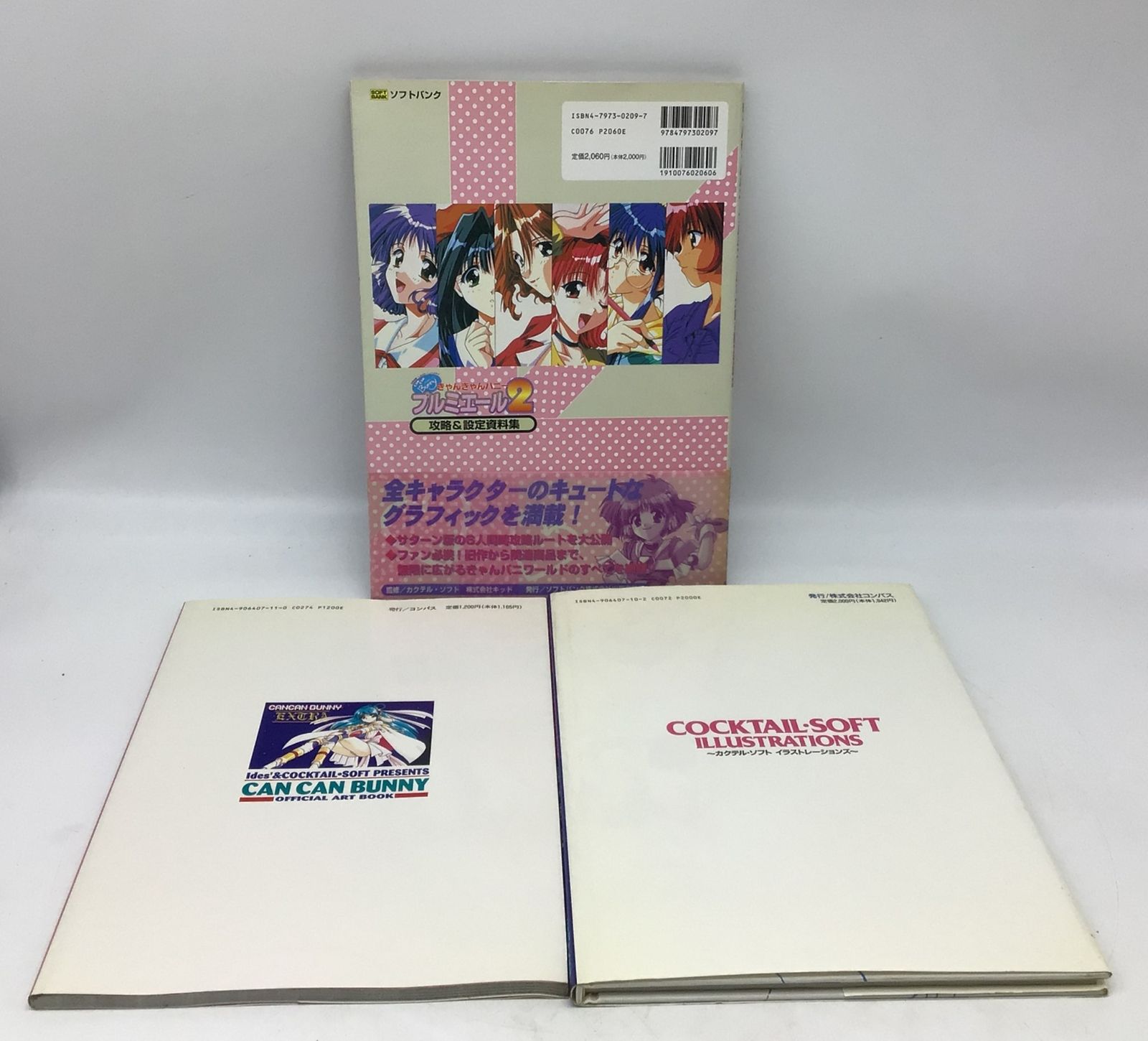 7255 【3冊セット】きゃんきゃんバニー プルミエール2攻略＆設定資料集 