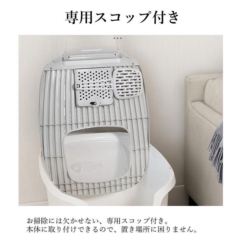 掃除簡単
