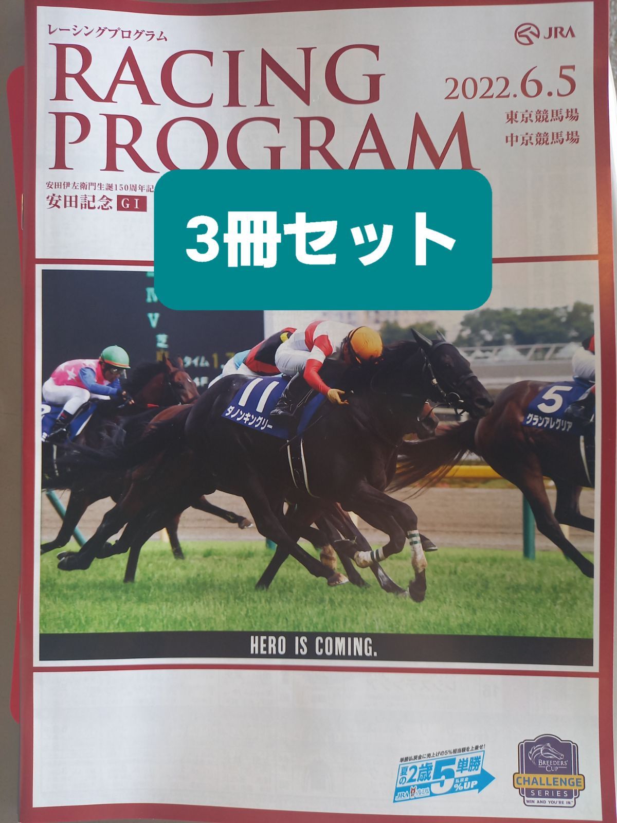 東京競馬 レーシングプログラム - ノベルティグッズ