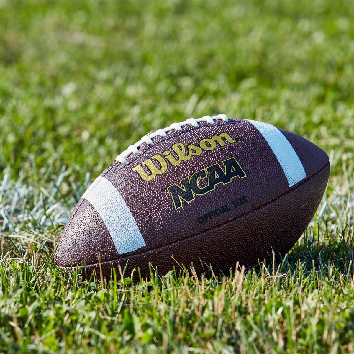 ウィルソン(Wilson) NCAA コンポジットフットボール Junior