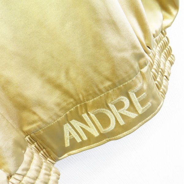 アンドレルチアーノ ANDRELUCIAND パーカー 半袖 ゴールド系 ジップ 