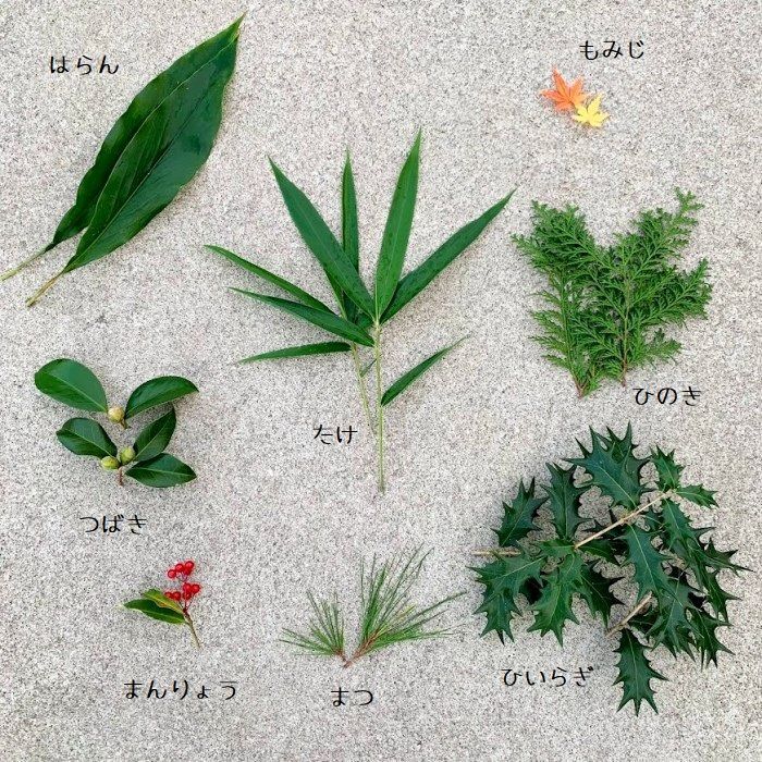 ランキング 新品 未使用 あしらい かいしき 23年 お正月 おせち 飾り葉 料理 青掻敷き 敷き葉 正月 Redpapelera Com Mx Redpapelera Com Mx