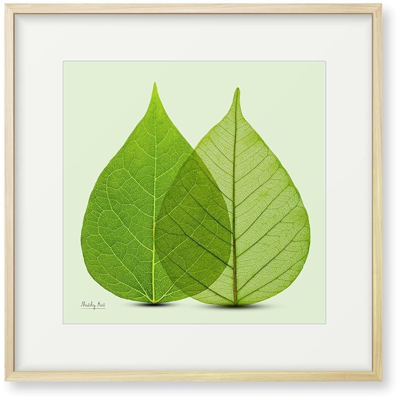 絵画「葉のよりそい」インテリア 絵 花 アートパネル 額入り (縦43cm x 横43cm) 0