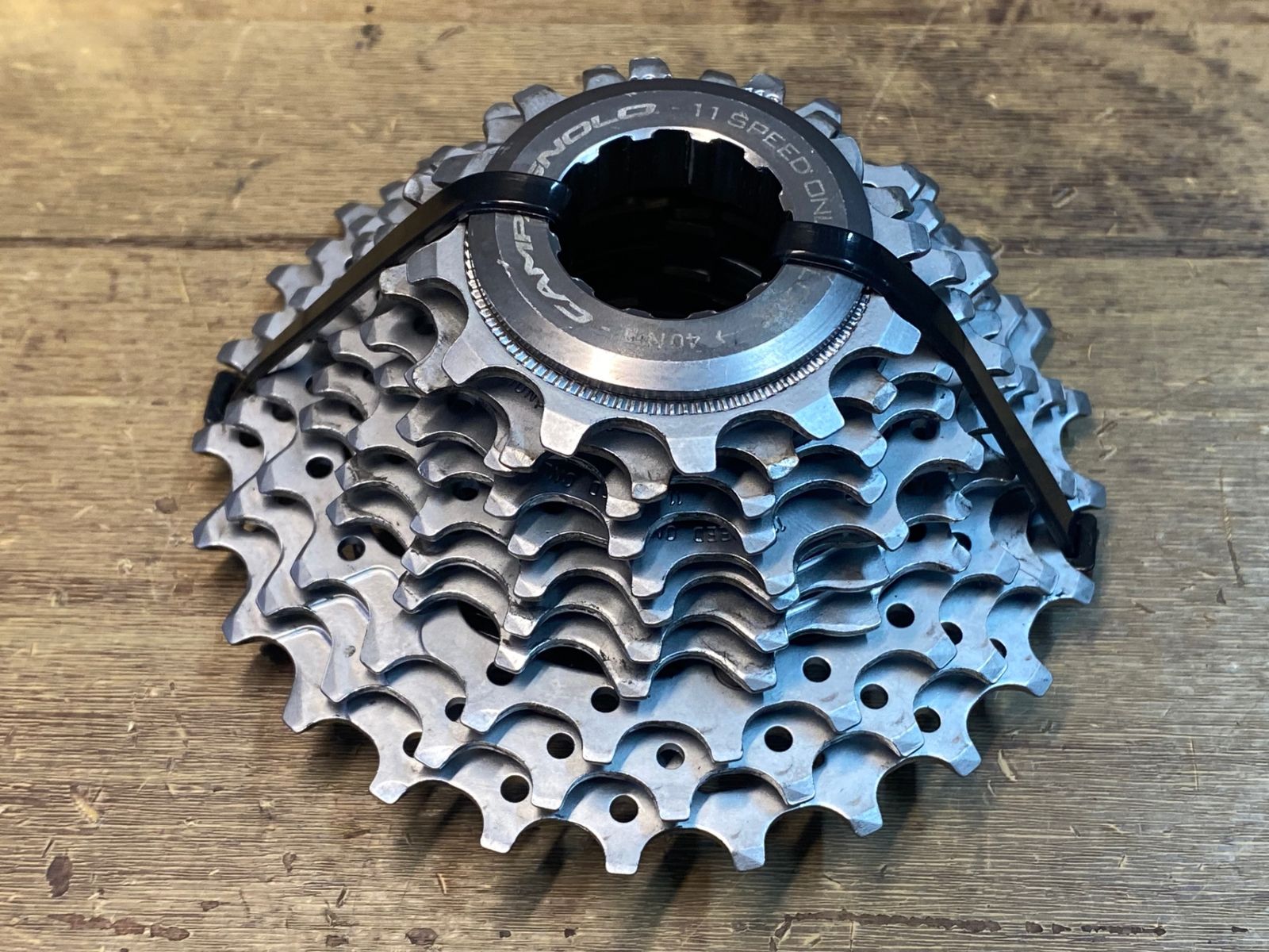 JI256 カンパニョーロ