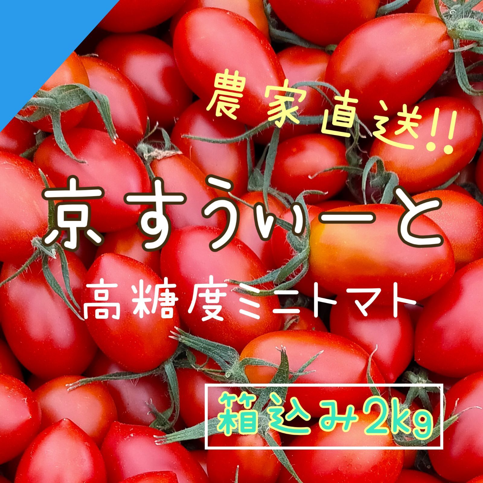 【京すうぃーと2kg】京都産 高糖度 フルーツミニトマト 箱込み2㎏-0