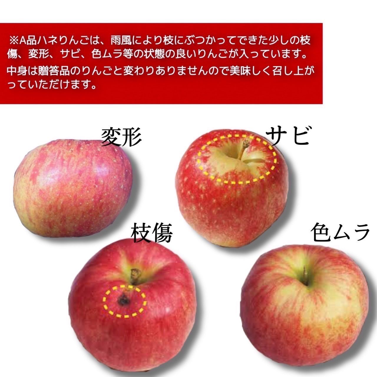 青森県産 もりのかがやき りんご【A品3kg】【送料無料】【農家直送】リンゴ-3