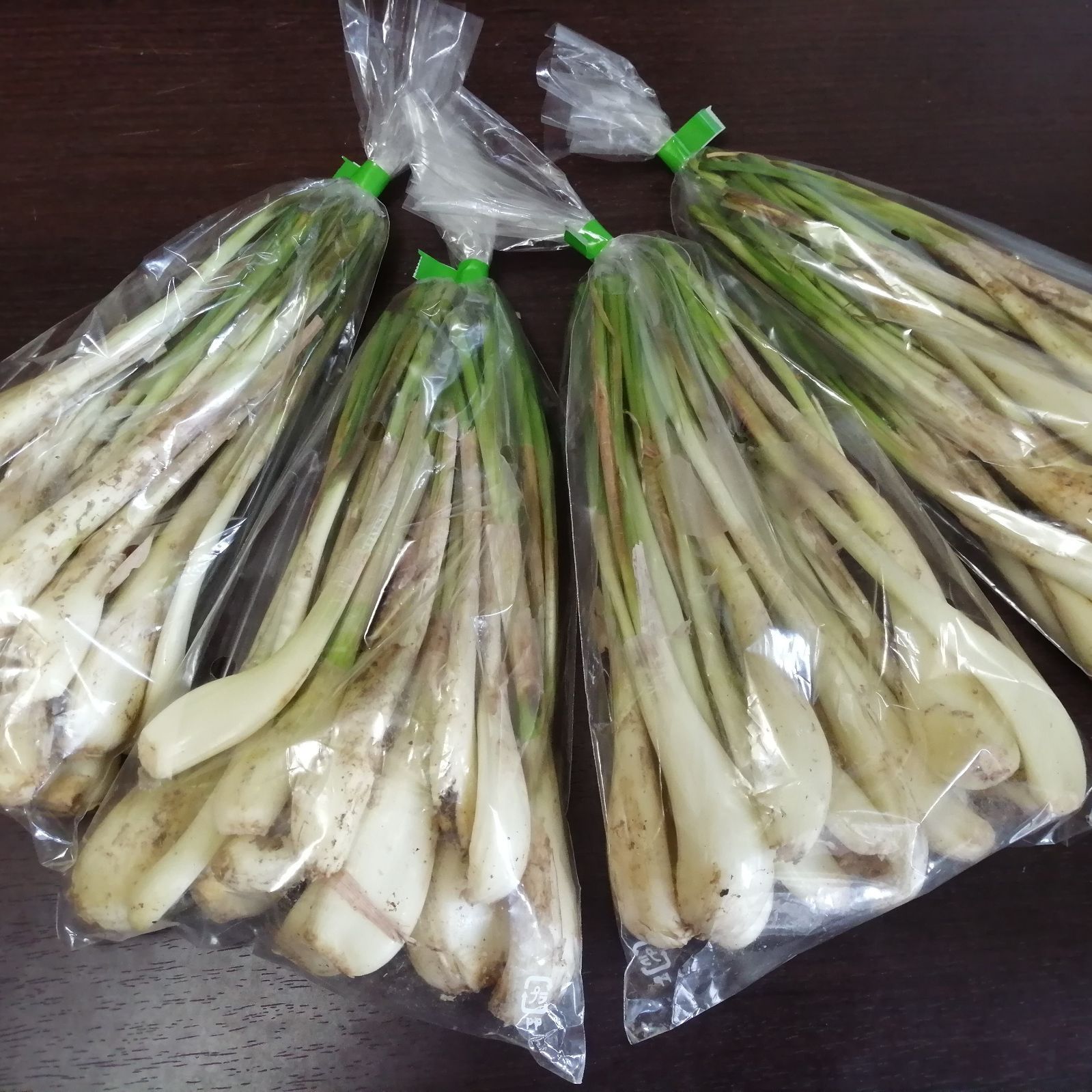 島らっきょう農家Oさんの沖縄土産用小口パック 約2kg （1袋約