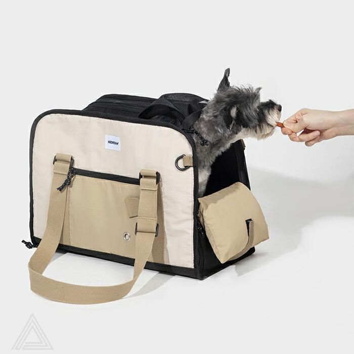 猫 ネコ