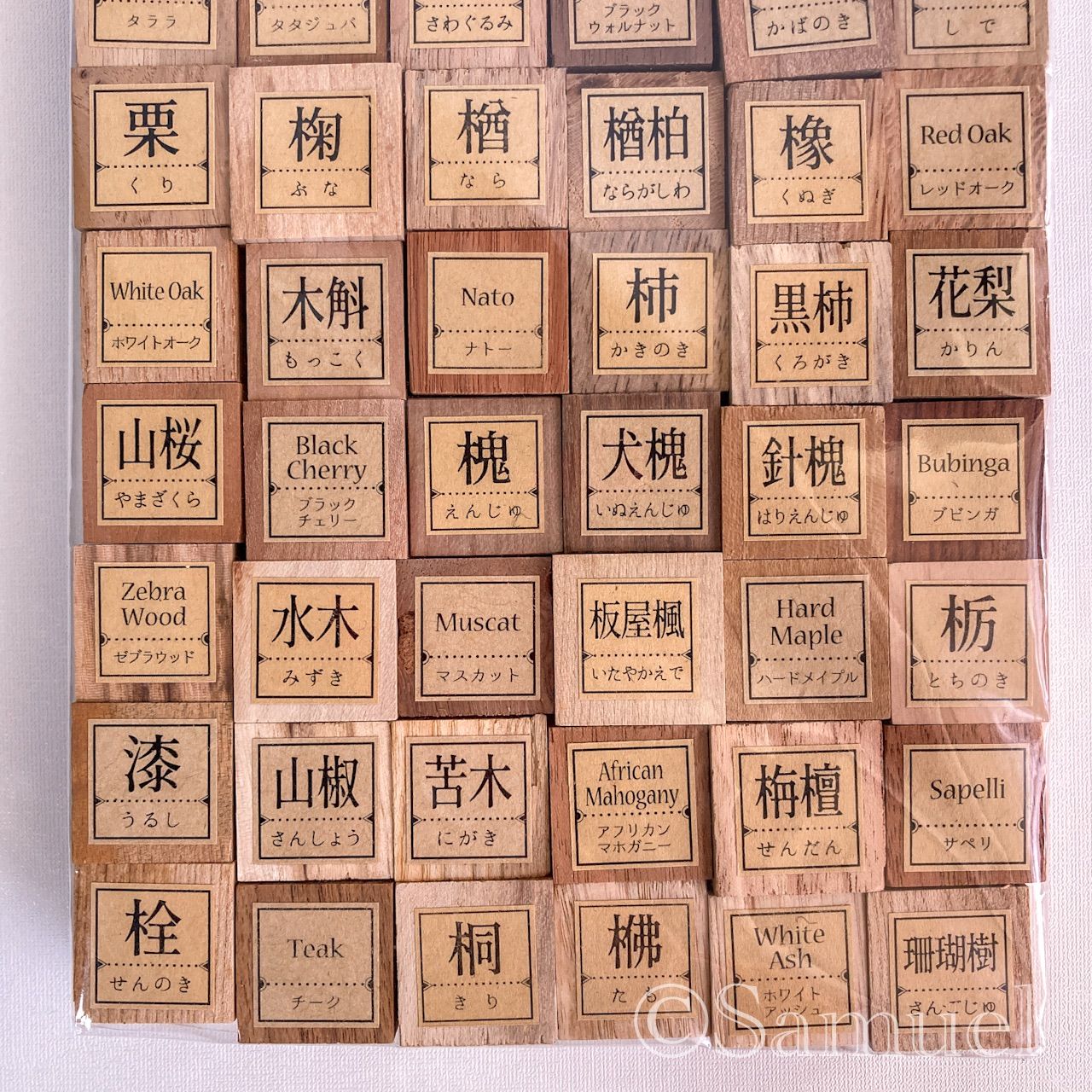 木の見本・樹種サンプル ▧標本│60種60cube：世界の木樹の標本／世界
