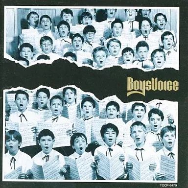 BOYSVOICE ボーイズヴォイス 洋楽CD ボーイズヴォイス / BOYSVOICE(廃盤) 【公式通販】