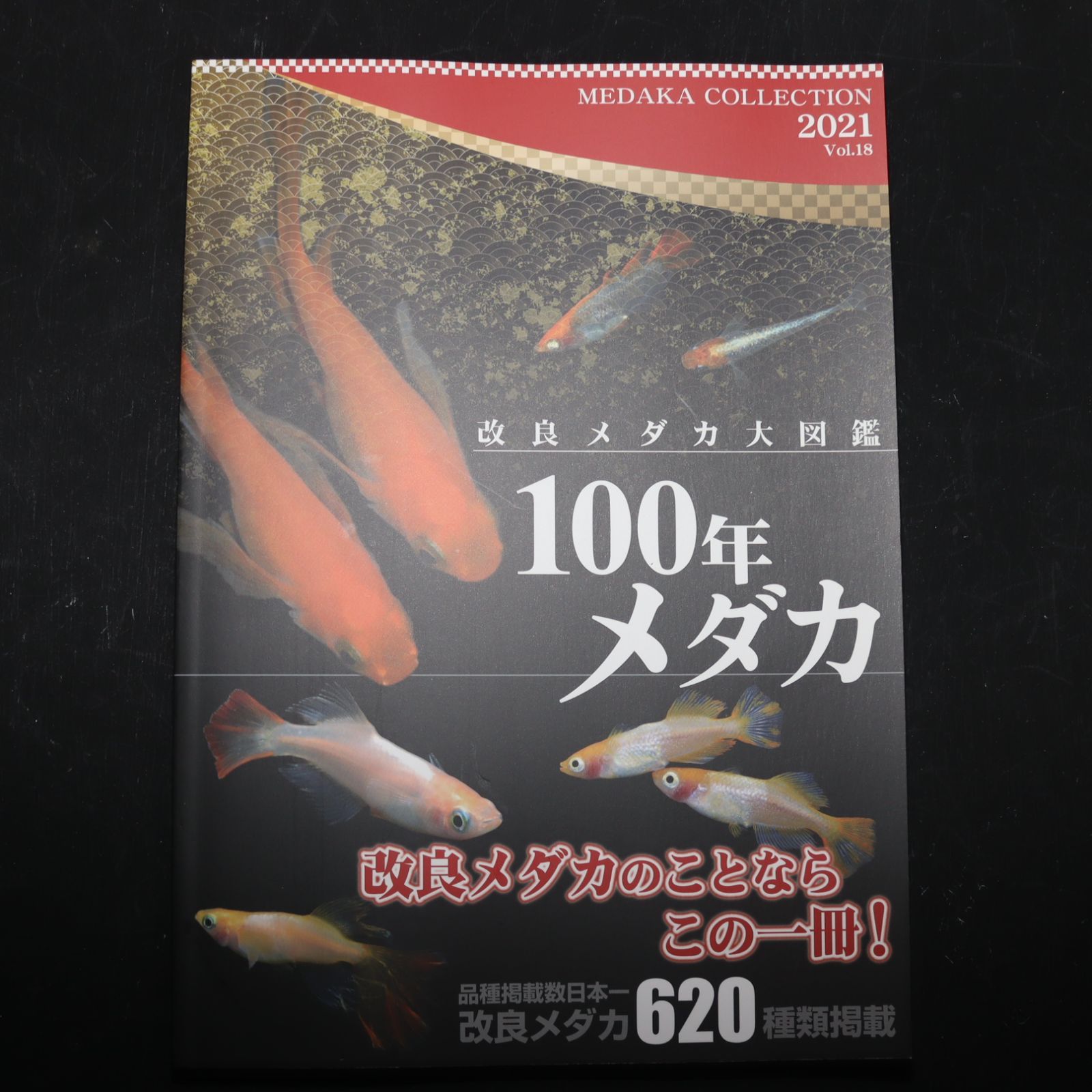 100年メダカ ～改良メダカ大図鑑～ Vol.18 【めだかの館発行】