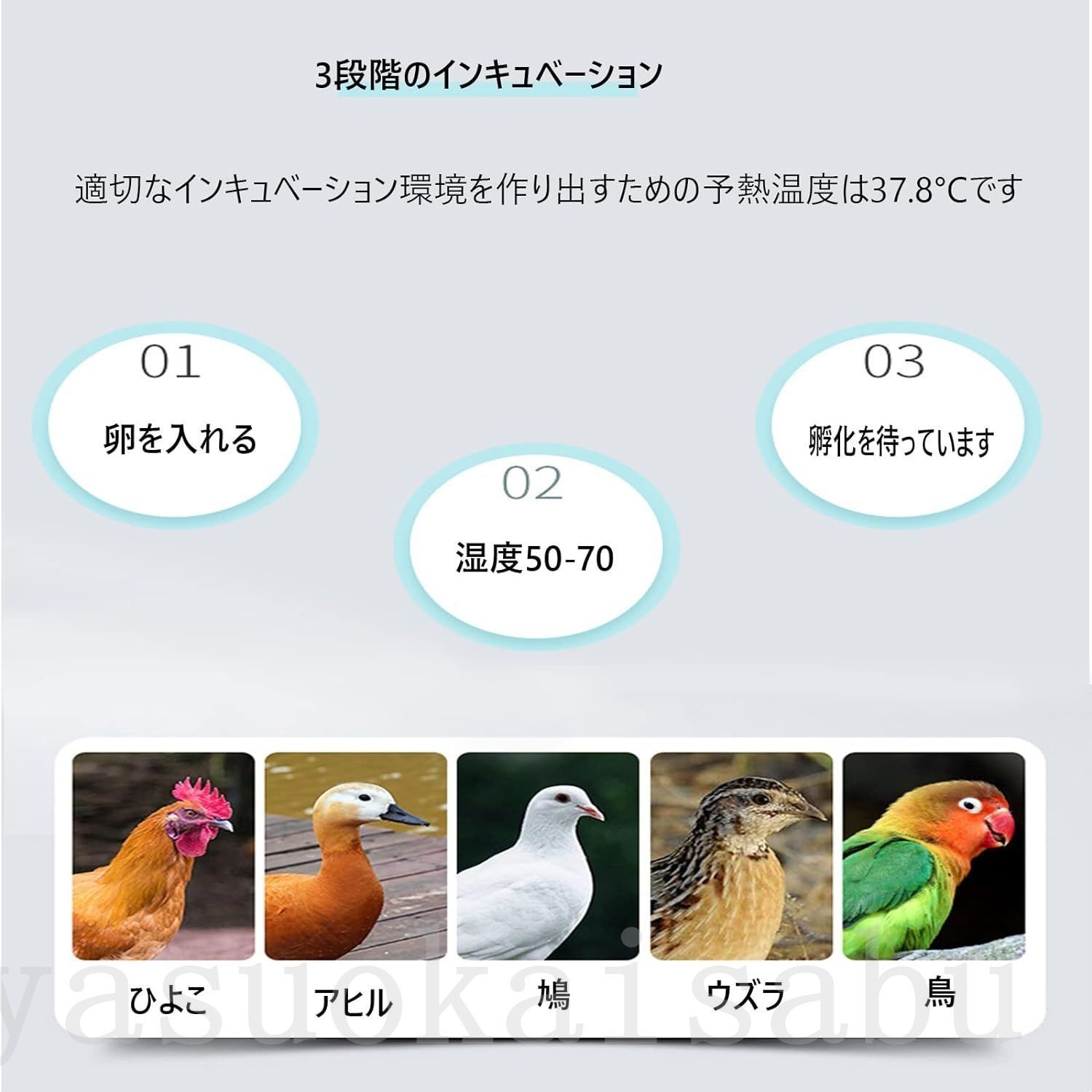 インキュベーター