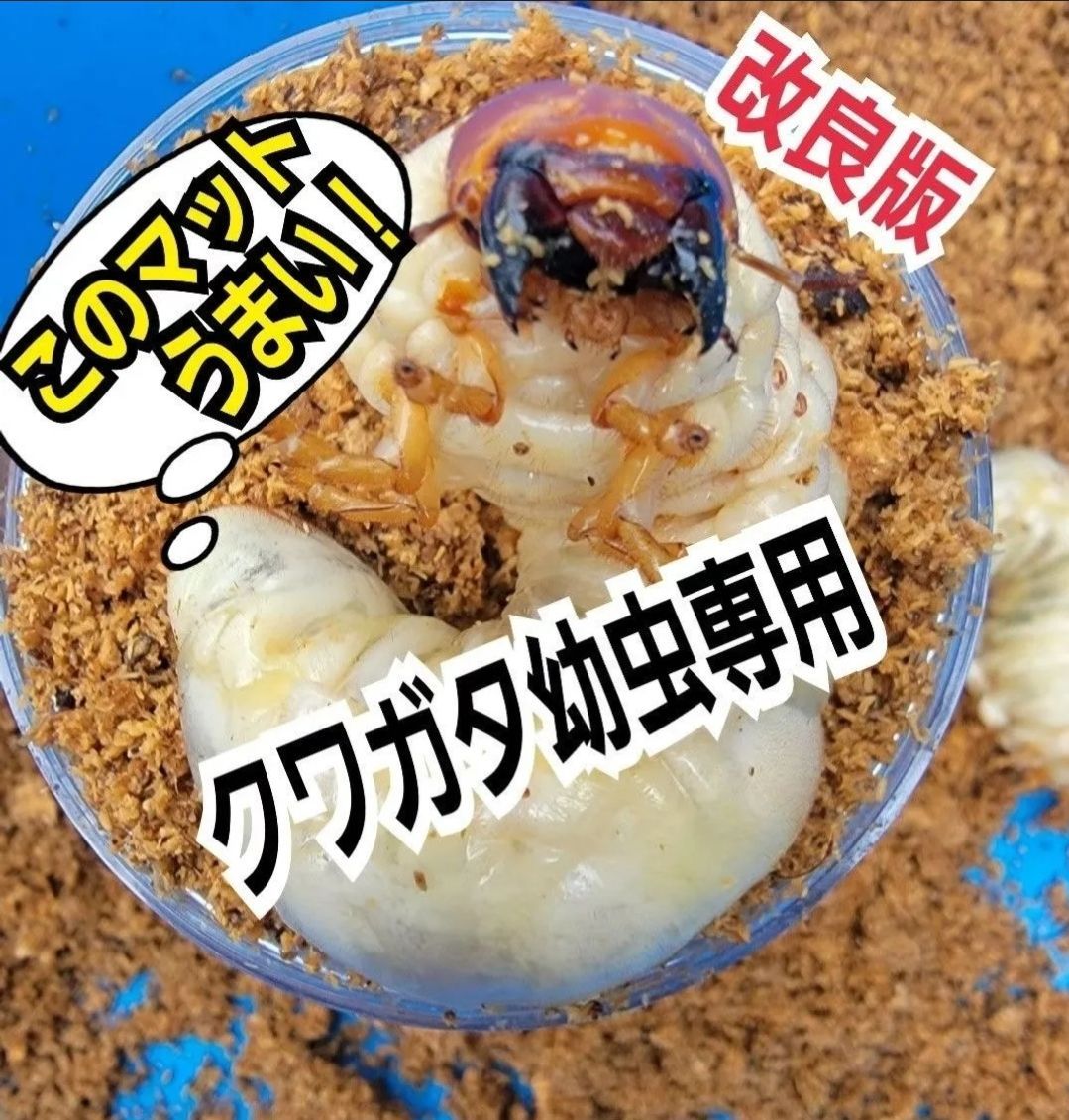 昆虫用品 クワガタの幼虫専用！ ヒマラヤひらたけ菌床粉砕マット【30L