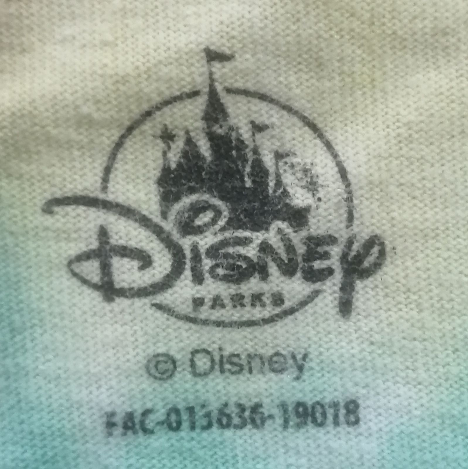 Hanes ヘインズ BEEFY-T Disney Parks ミッキーマウス「WALT DISNEY