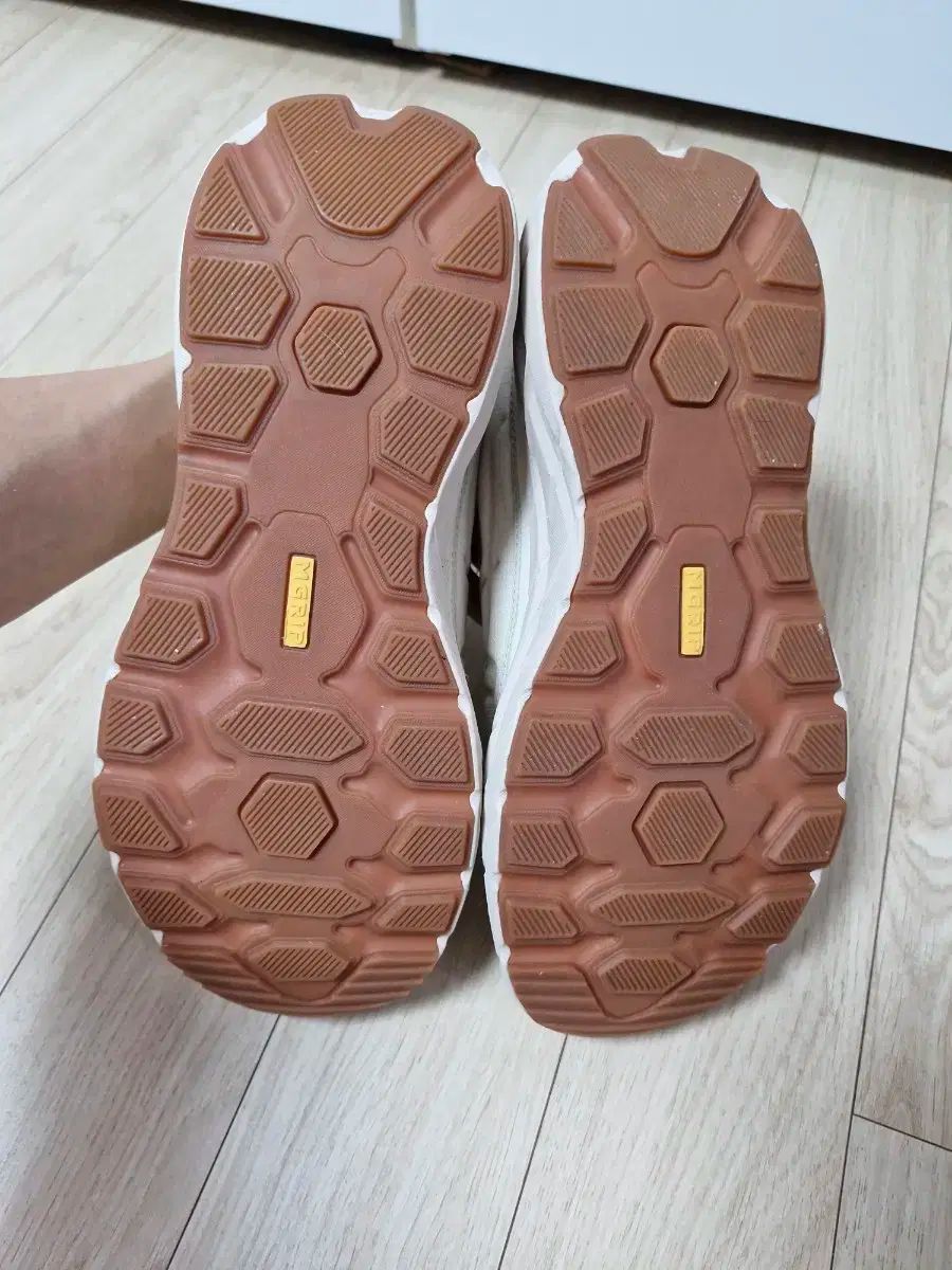ミレー