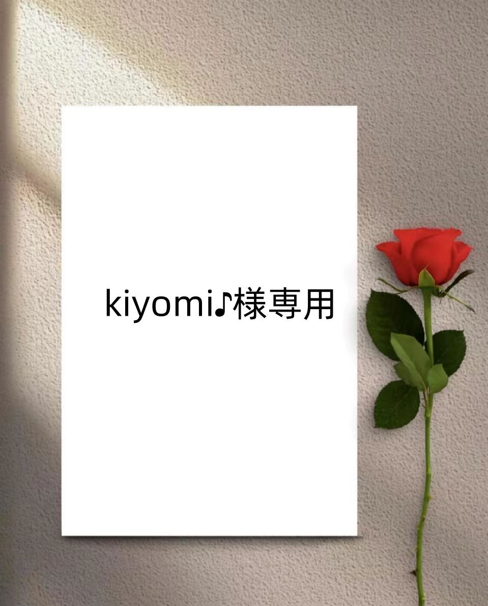 kiyomi様専用 まぎらわしい