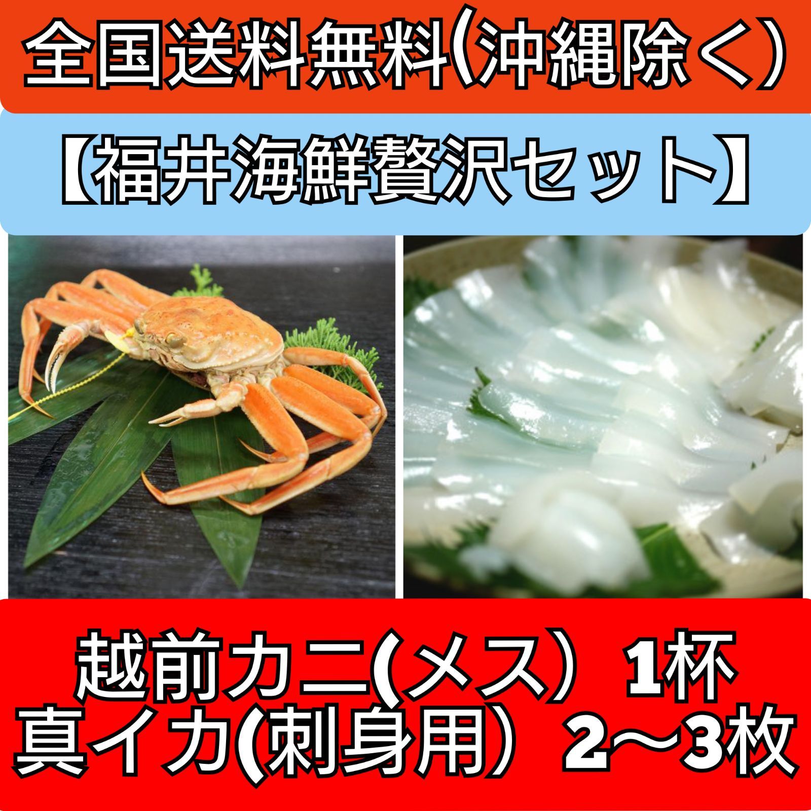 【福井海鮮贅沢三昧！】越前ガニ（雌・タグ付き）/剣先イカ（生食刺身用）福井県産-0