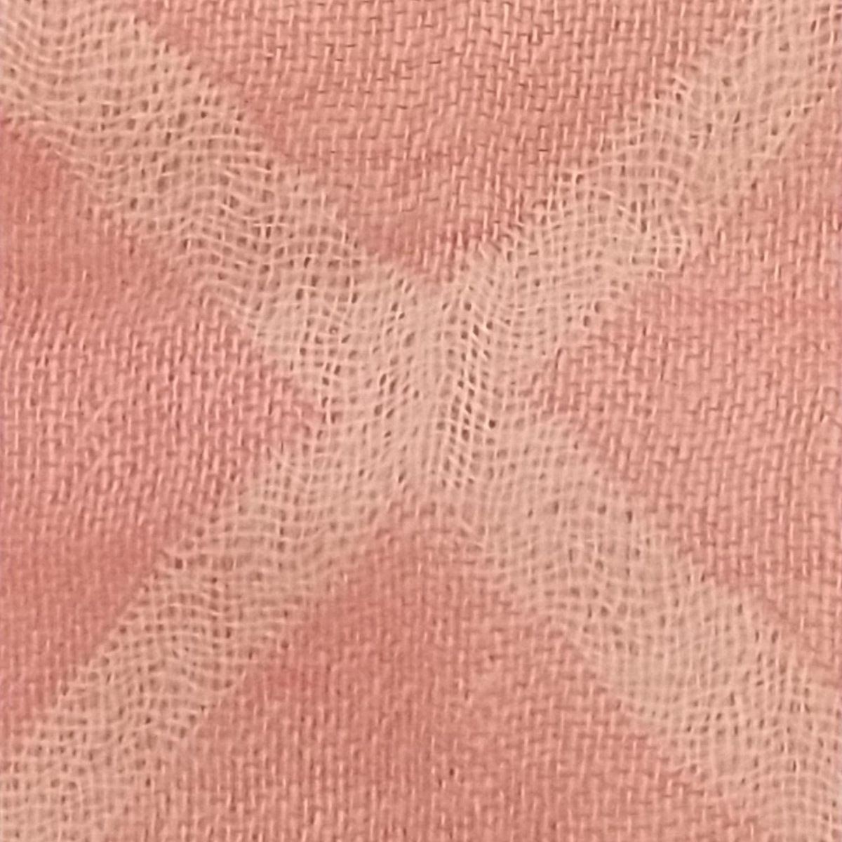 Ballantyne(バランタイン) ストール(ショール) - ピンク×アイボリー  