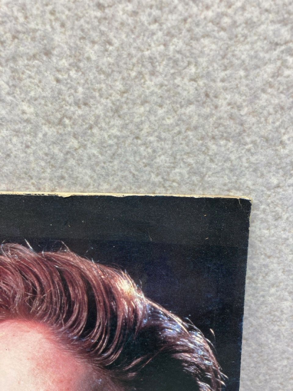 【入手困難】アズテック・カメラ　1985ツアーパンフ アズテック・カメラ 来日パンフレット 1985 AZTEC CAMERA JAPAN