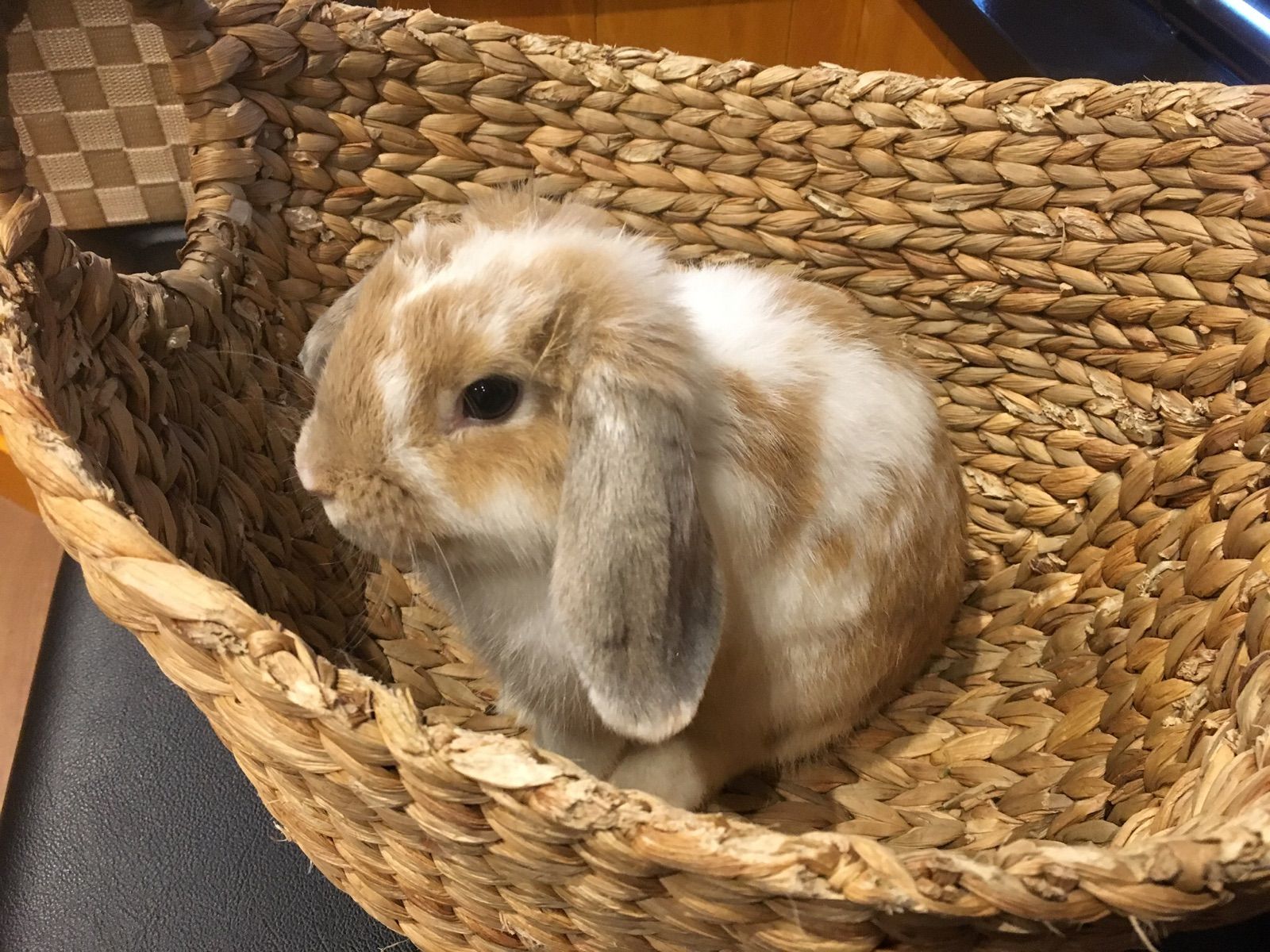 【ゆうゆう⇄らくらくメルカリ便】はっぴリス様ご確認用 ゆうゆう⇄らくらくメルカリ便】はっぴリス様ご確認用 - メルカリ
