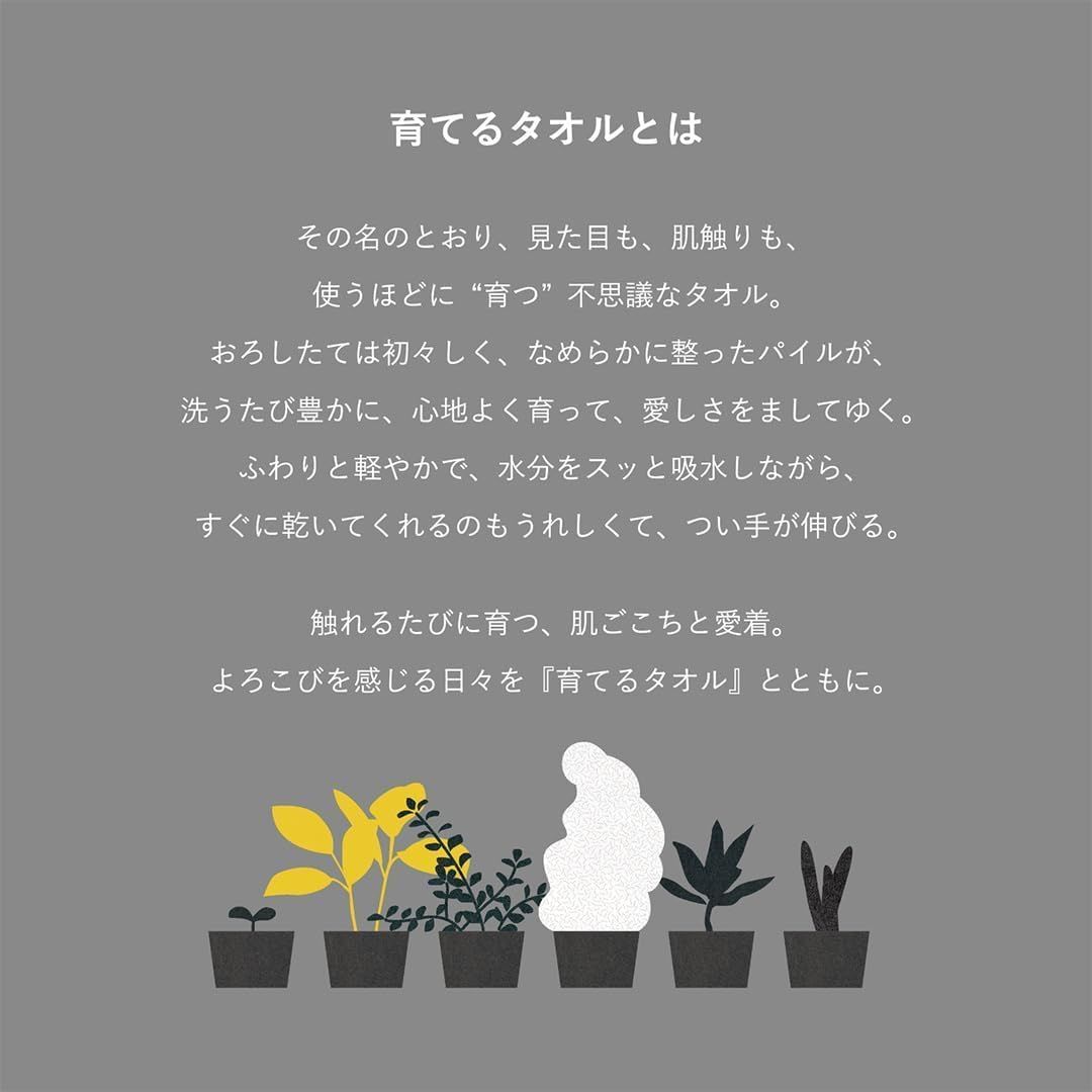 在庫 育てるタオル feel フェイスタオルペアセット ロータス ピンク系 ×ムーングレージュ 茶系 34×85cm 綿100％ ボックス入り SD-FEELGF-FGGLO WWW_SKLAD-KIRPICHA_RU