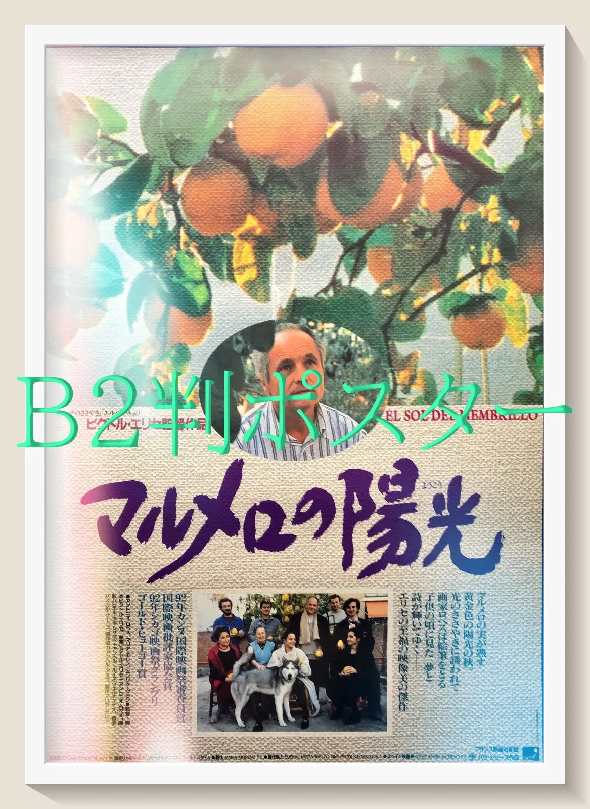 2025年最新】マルメロの陽光の人気アイテム - メルカリ