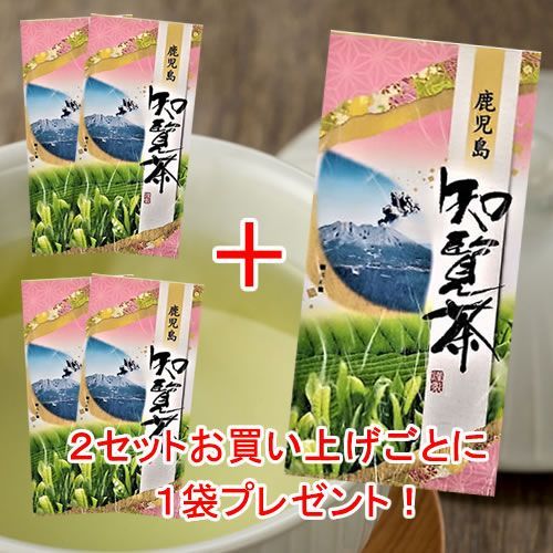 【２袋】鹿児島ブランド茶！知覧茶2袋（100g×2）／🎁２セットお買い上げごとに1袋プレゼント！／日本茶